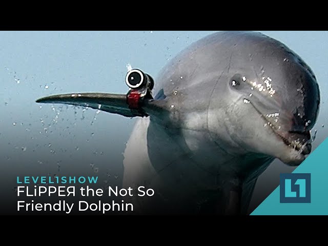 The Level1 Show July 7 2023: FLiРРЕЯ the Not So Friendly Dolphin