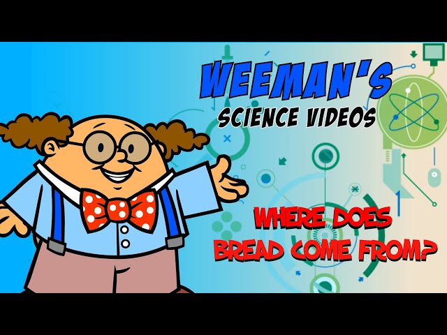 " Where Does Bread Come From? " by The Brilliant Kid