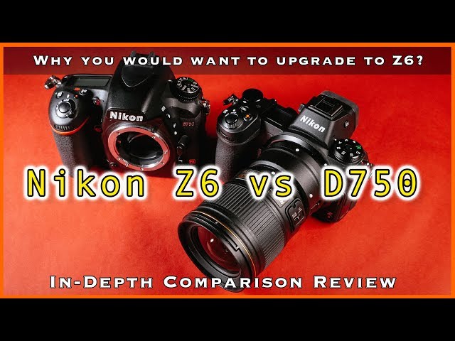 Nikon Z6 vs D750 - In-Depth Comparison Review