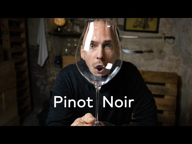 PINOT NOIR - WINE IN 10