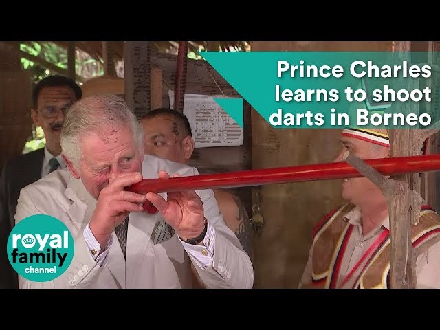 Prince Charles learns to shoot darts in Borneo
