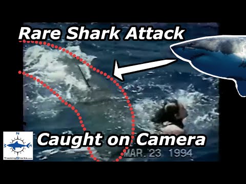 Great White Shark Attack Caught on Camera: Heather Boswell 1994