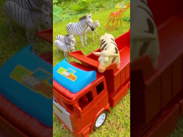 รถดั้มรับขนย้ายสัตว์ของเล่น -  animal transport truck