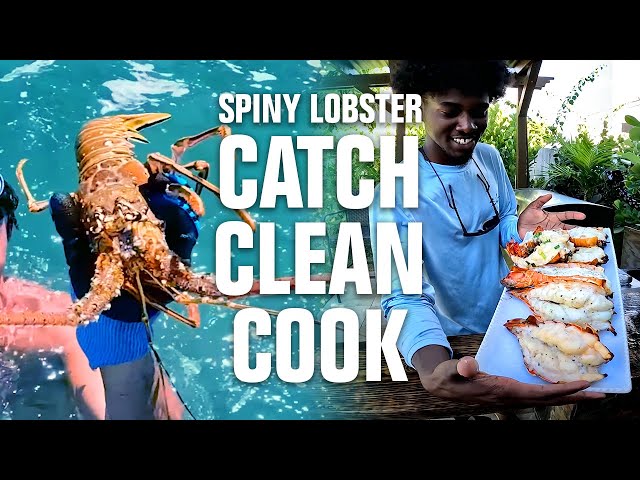 Catch, Clean & Cook: LOBSTER With Emmanuel Williams