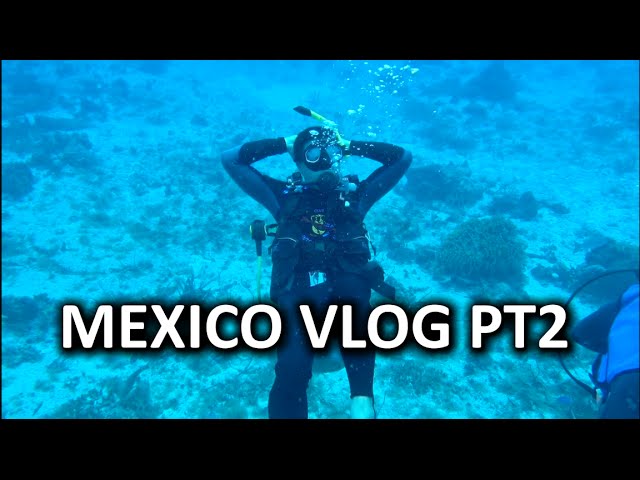 Mexico "Work-cation" Vlog - THE SEQUEL!