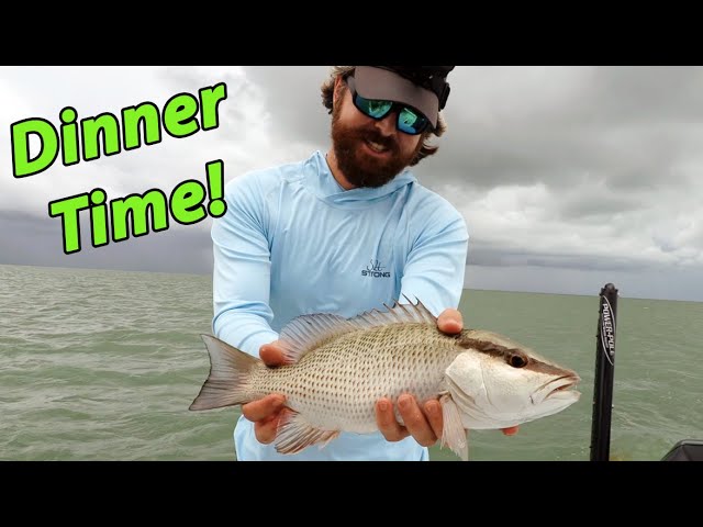 Catching DINNER-Sized Mangrove Snapper (In The Middle Of Nowhere)