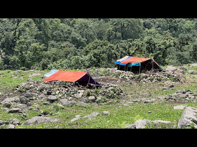 Organic Nepali Mountain Village || Rural Lifestyle in Nepal || IamSuman