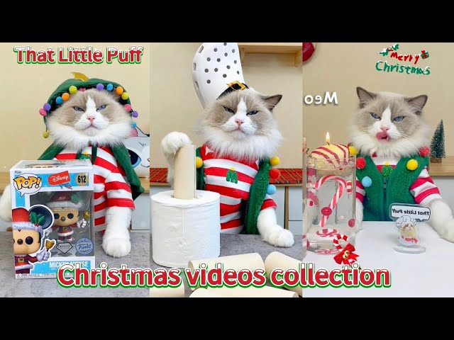 🎄🐾 Puff's Christmas Compilation is here!