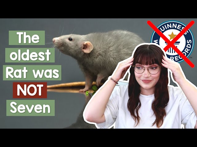 The oldest rat was NOT 7 years old