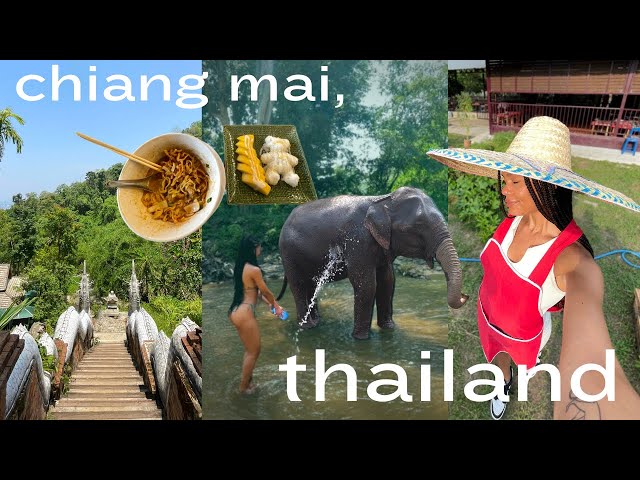 thai cooking class, elephant sanctuary, & solo dates | days in my life