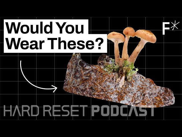 This fungus-based material could replace the need for leather | Hard Reset Podcast #7