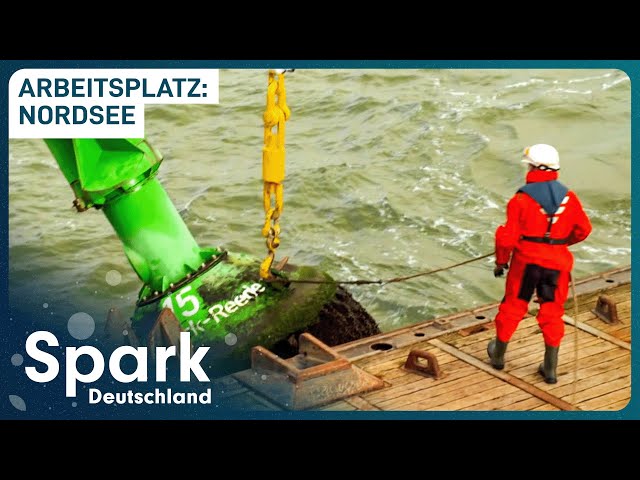 Abenteuer Nordsee | Arbeitsalltag auf einem Schiff | Spark Deutschland