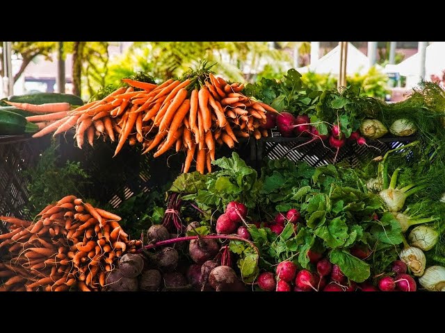 Different Ways to Sell Your Home-Grown Vegetables