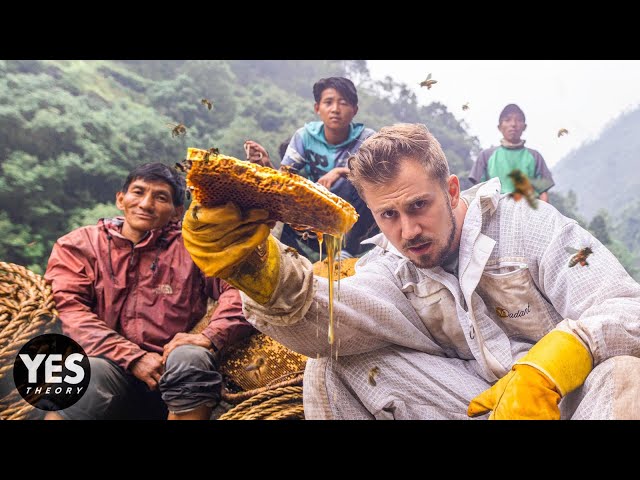 Hunting Nepal’s Mad Honey That Makes You Hallucinate - HONEY HUNTERS