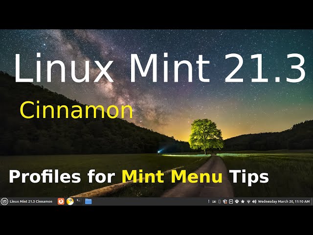 Linux Mint 21.3 - Cinnamon - Mint Menu Custom Profiles.
