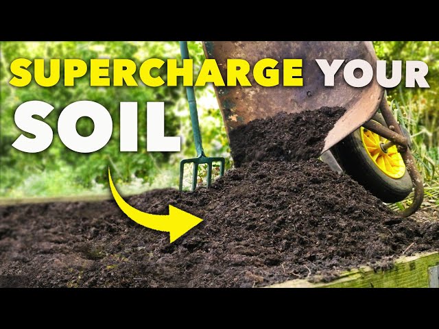 This Will Enrich Your Soil Instantly