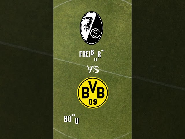 Freiburg vs Borusia Dortmund