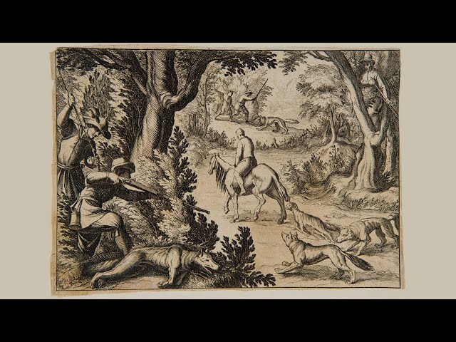 The Art of Extinction in Early Modern Europe—Art Talk with Sarah Mallory