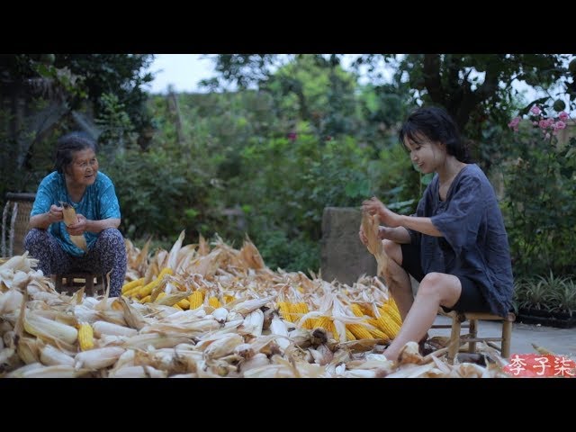 金黄的季节，载满了收获的喜悦和玉米的香甜Golden season, full of preasure of harvest and sweet corn | Liziqi Channel