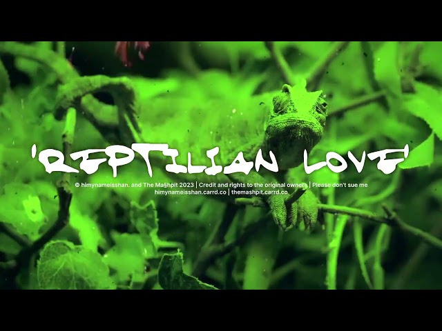 himynameisshan. - Reptilian Love (Visualizer)