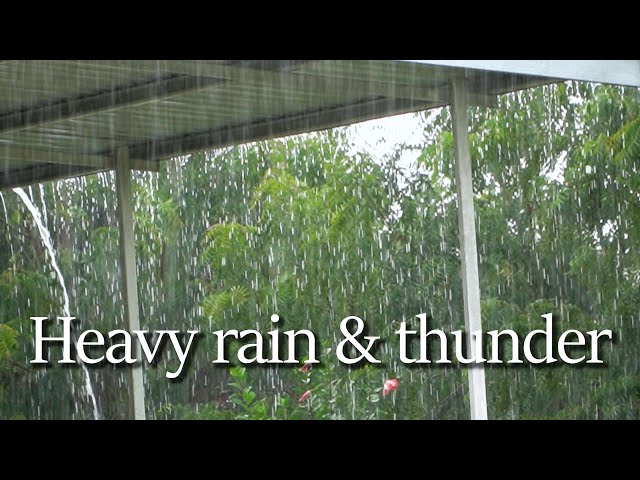 Thunder on a rainy day, white noise, tension relief, sleep quickly, relieve stress