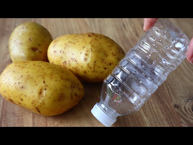 😱 Are There Pet Bottles and Potatoes? 💯 You should try this Extremely Cheap and Delicious Recipe. 😋