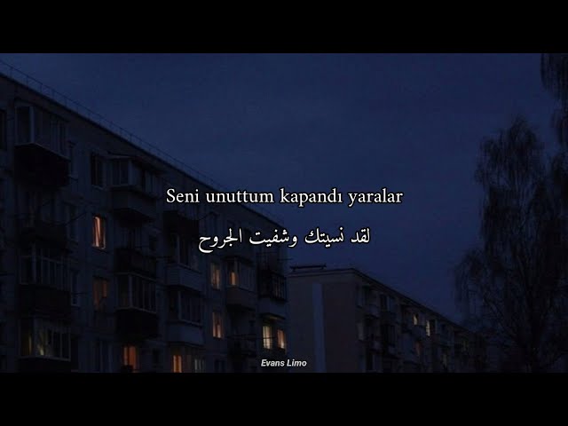 اغنية تركية مشهورة على تيك توك - Zerrin Özer - basit numaralar مترجمة للعربية