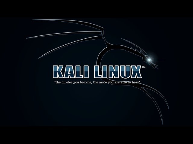 Kali Linux installation as a virtual machine 2019 - the simple variant