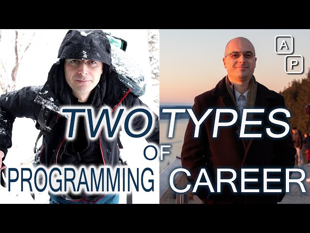 Which career path should you choose in Software Development? Use frameworks or not?