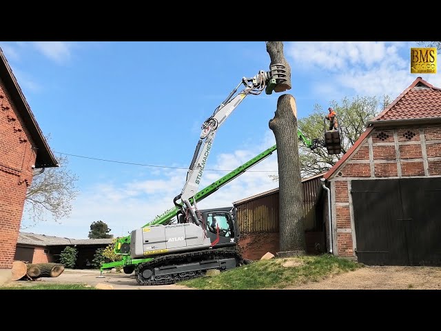 Spezialbaumfällung im Wohngebiet - Raupenbagger am Limit - Holzfäller im Einsatz - risk tree felling