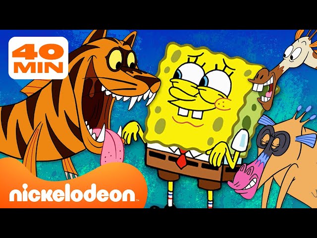 SpongeBob | Każdy stwór ze SpongeBoba Kanciastoportego! | 40-minutowa składanka | Nickelodeon Polska