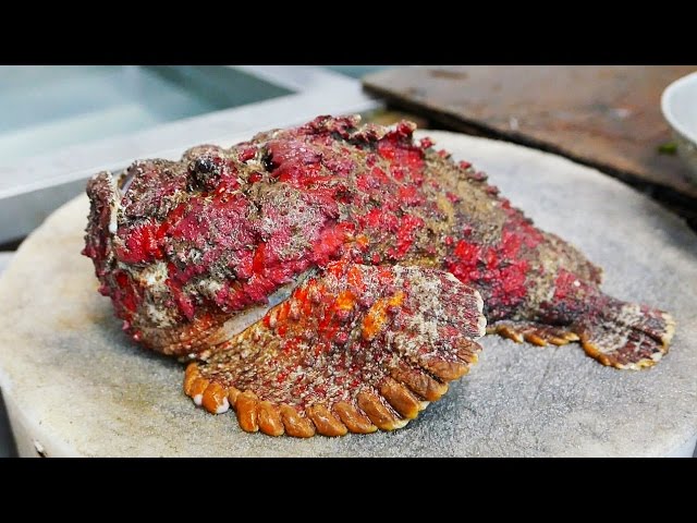STONEFISH - Most Poisonous Fish In The World Cooked 2 Ways!