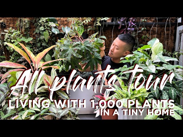 Living With Over 1,000 plants 🪴 In a Tiny Home | Common to Rare | Learn their Names!