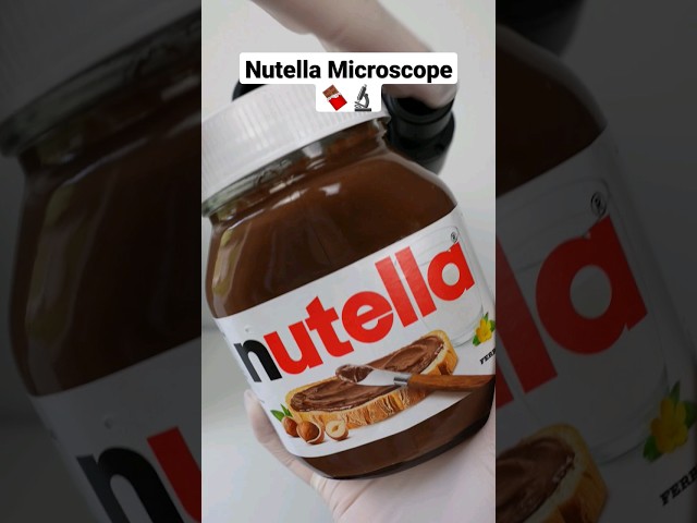 Will you continue to eat it? 😳 #nutella #microscope