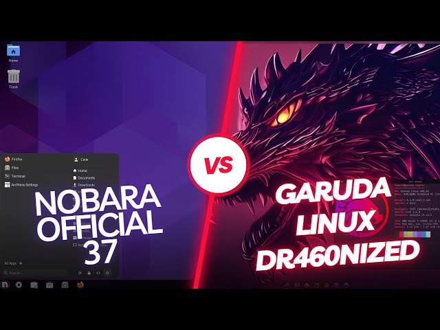 Garuda Dr460nized VS Nobara 37 Official (RAM Consumption)