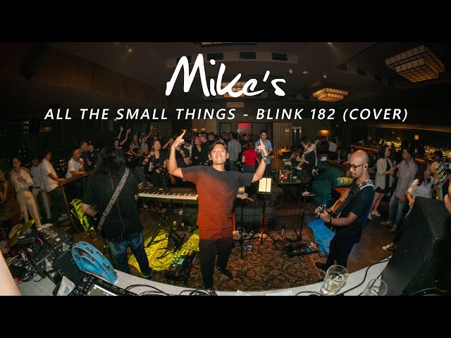 All The Small Things - Blink 182 (Mike's Cover)