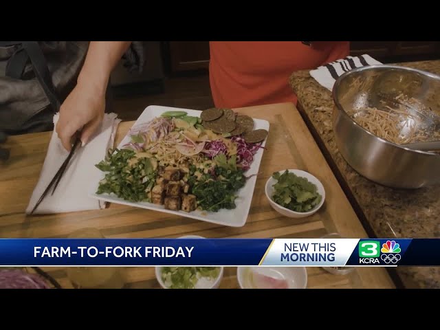Farm-to-Fork Friday: How to make a vegan meal with Plant-ish