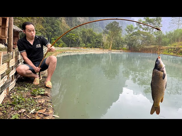 FULL VIDEO: Duong caught a lot of fish in the pond to make smoked fish for his wife and children
