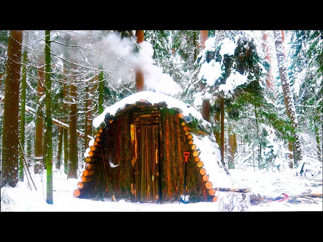 LOG CABIN from START to FINISH | 16 days BUSHCRAFT | 35 minutes of highlights in SHORTS video format