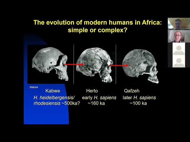 Chris Stringer on Human Evolution, Recent Discoveries, and their Implications