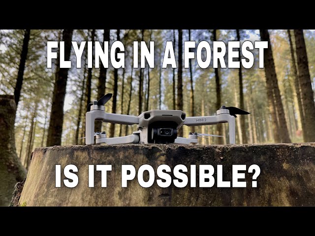 DJI MINI 2 | OCUSYNC TEST FLYING IN A FOREST