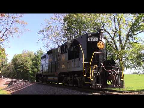 Steam Train Excursions