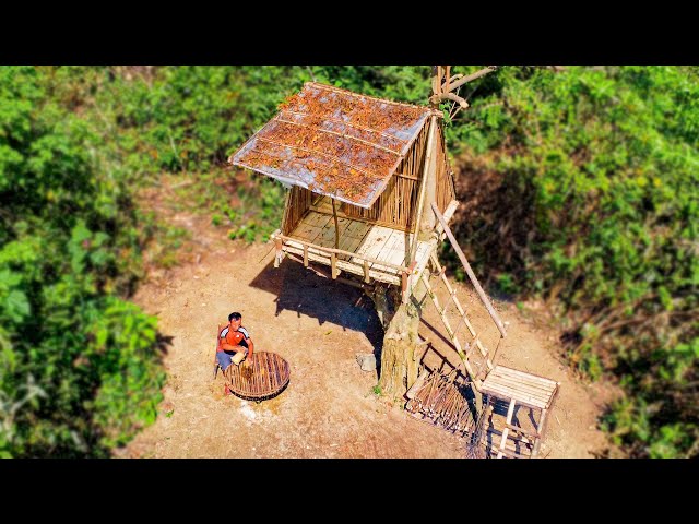 Building Cozy Tree House | Build Tree House In The Wild Forest To Avoid Wild Animals