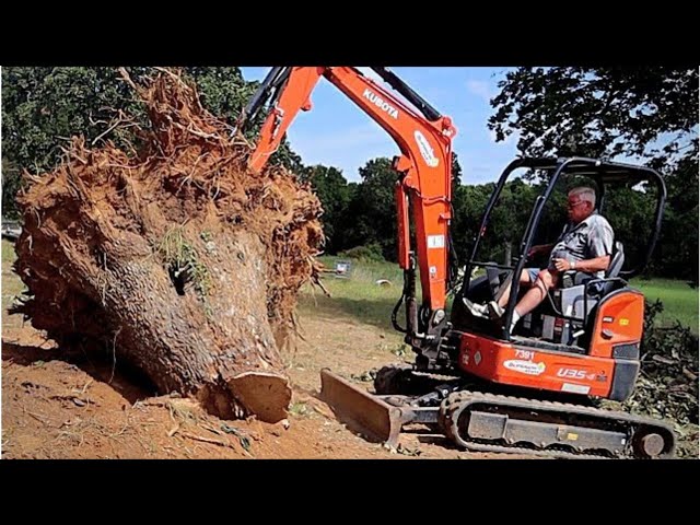 Mini Excavator vs Massive Stumps - Kubota U35