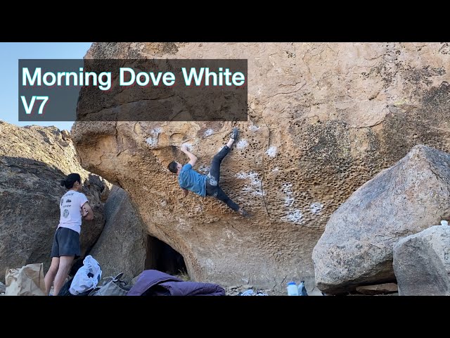 Morning Dove White V7 (7A+)  - Happy Boulders • Bishop Bouldering (CA)