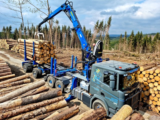 🌲*SCANIA-Clip* • Scania R540 • LoggingTruck • Timbertruck • Mause Holz-Transporte • Action • Part-3🌲