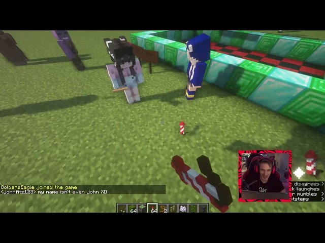 Playing Minecraft With You Guys