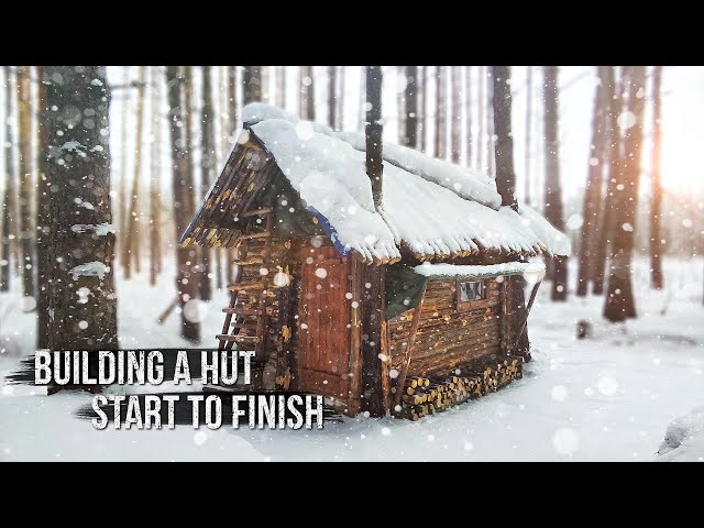 I built a hut in the wild forest. From start to finish. First experience.