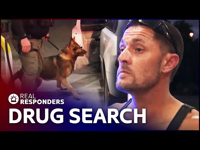 K9 Sniffer Dog Finds Drugs In Suspect's Car | Cops | Real Responders