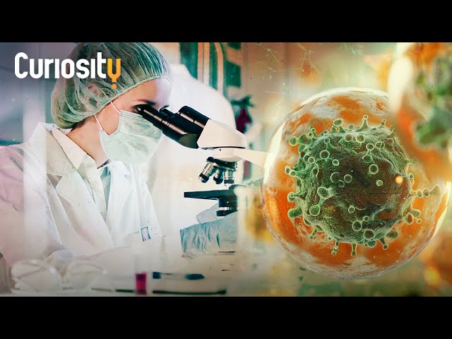 Are Humans the New Target for Fungi? | Attack of the Zombie Fungus